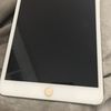 Apple iPad Mini 2 Retina
