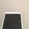 Apple iPad Mini 2 Retina