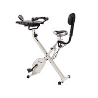 FitDesk Bike Desk