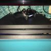PlayStation 4 Pro
