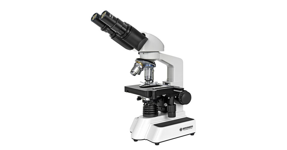 Il microscopio ottico: come si usa e come si prepara un vetrino