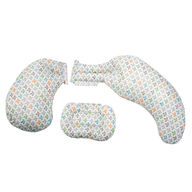 Chicco Boppy Total Body