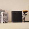 Bose SoundLink Color II
