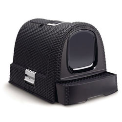 Le migliori lettiere per gatti del 2025