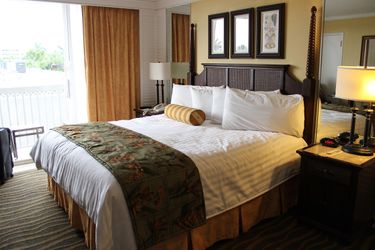 Come scegliere il motore di ricerca hotel: guida all'acquisto