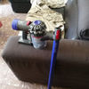 Dyson V7 Fluffy