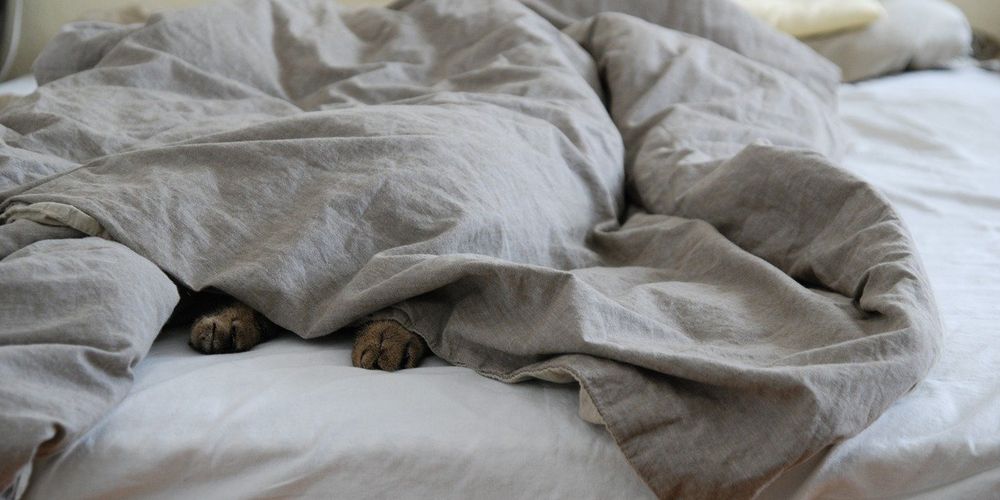 Come scegliere il piumone: guida 2025