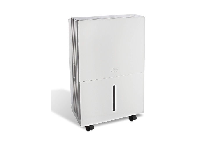 Argo Dry Plus 21