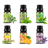 Betope Oli essenziali puri 100% set 6 sapori