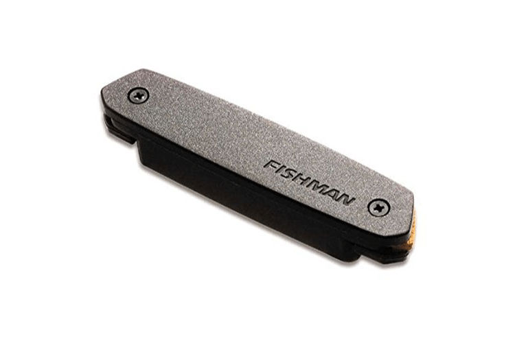 Fishman NEO-D