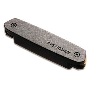 Fishman NEO-D