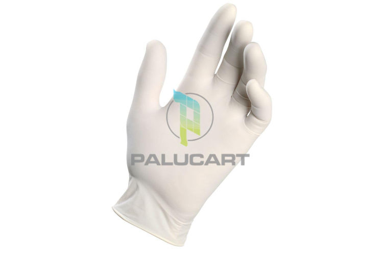 Palucart monouso in lattice