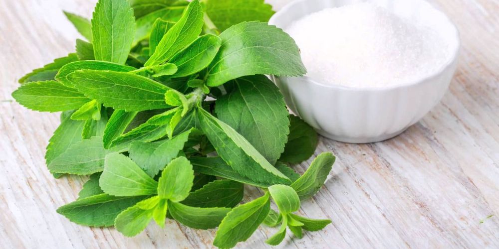 Come scegliere il dolcificante stevia: guida 2025