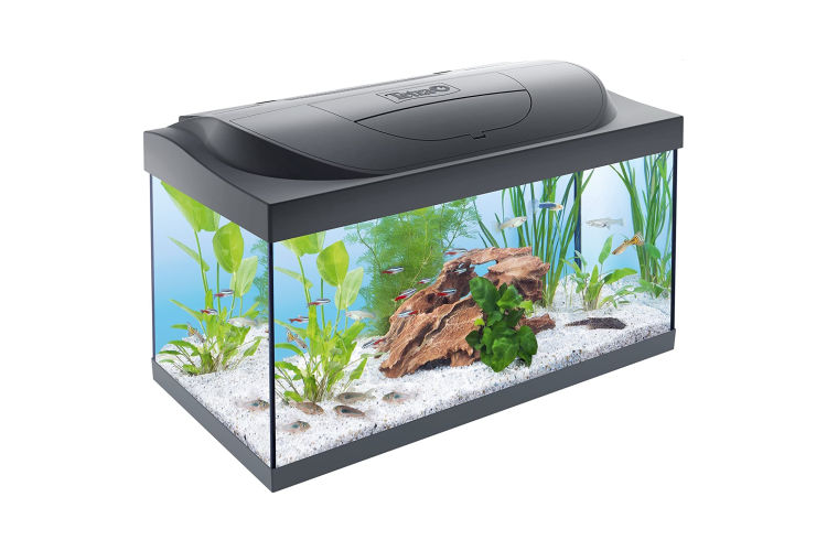 Tetra Starter Line 54 l