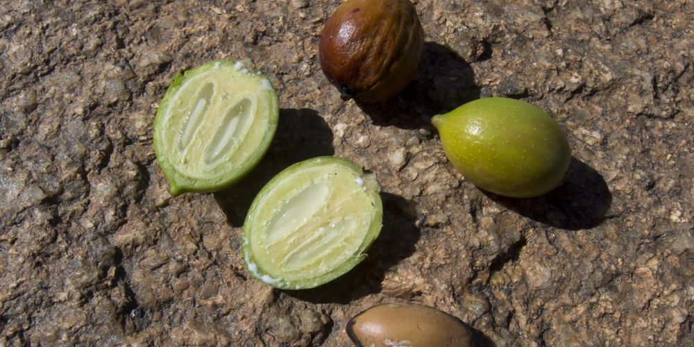 Come scegliere l'olio di argan: guida 2025