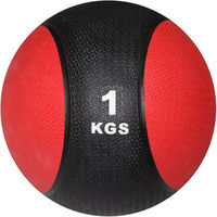 Powrx Medicine ball