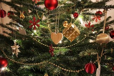Come scegliere l'albero di Natale: guida 2025