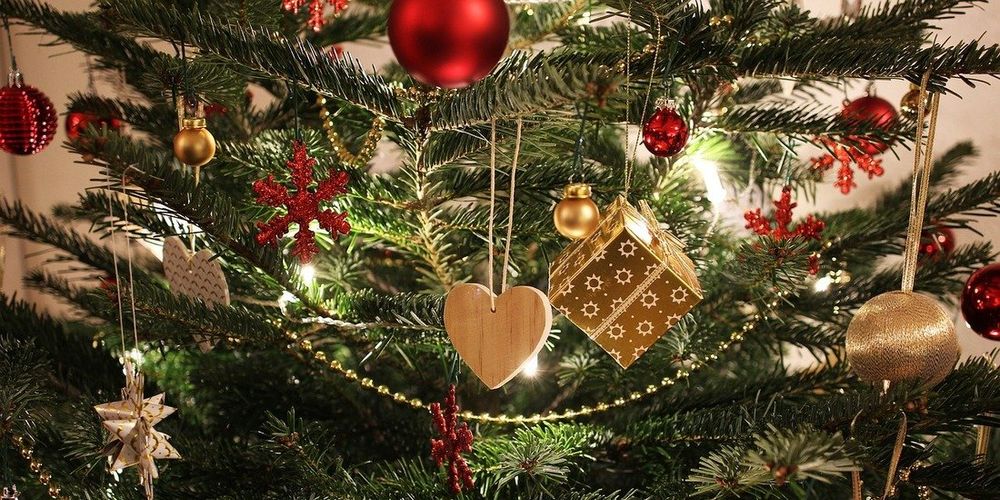 Come scegliere l'albero di Natale: guida 2025