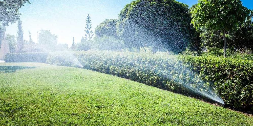 Come scegliere l'irrigatore da giardino: guida 2025
