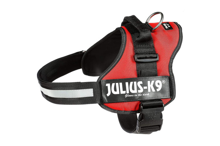 Julius K9 162R2