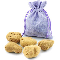 tom&pat Spugna mestruale TP2