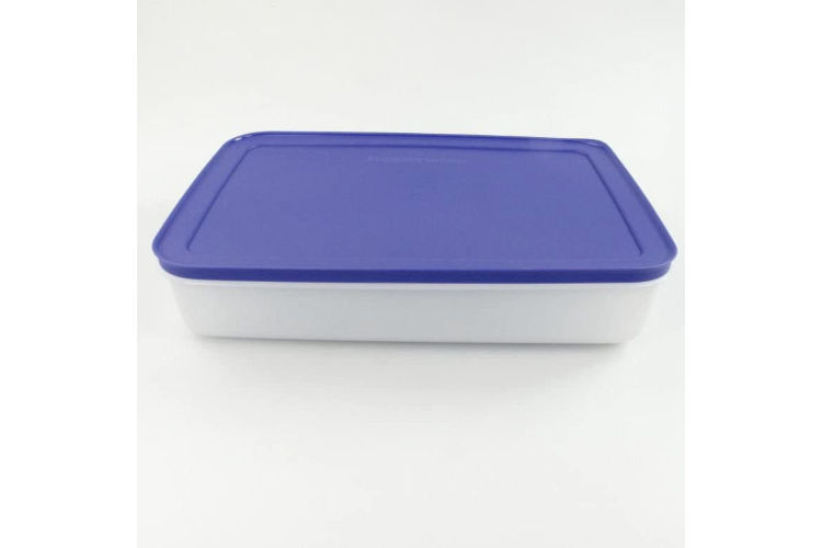 Tupperware Pinguino 15181