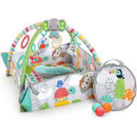 Bright Starts 5 in 1 12624