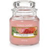 Yankee Candle Sun-drenched Apricot Rose
