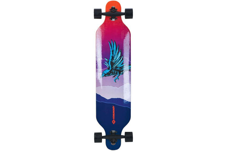 Schildkröt Freeride 41