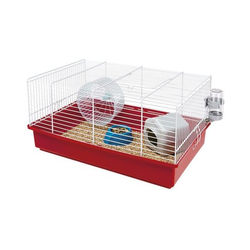 Le migliori gabbie per criceti del 2026