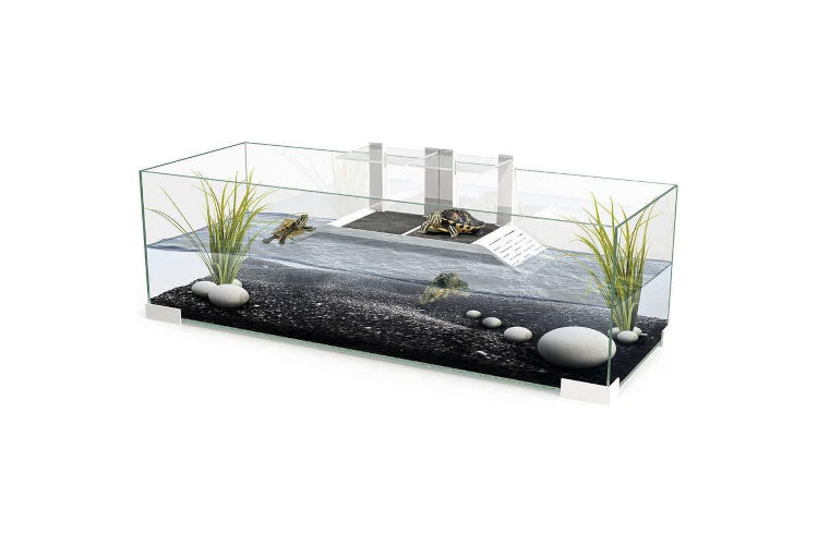 Ciano Tartarium 80