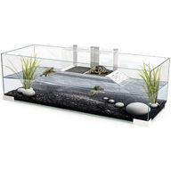 Ciano Tartarium 80