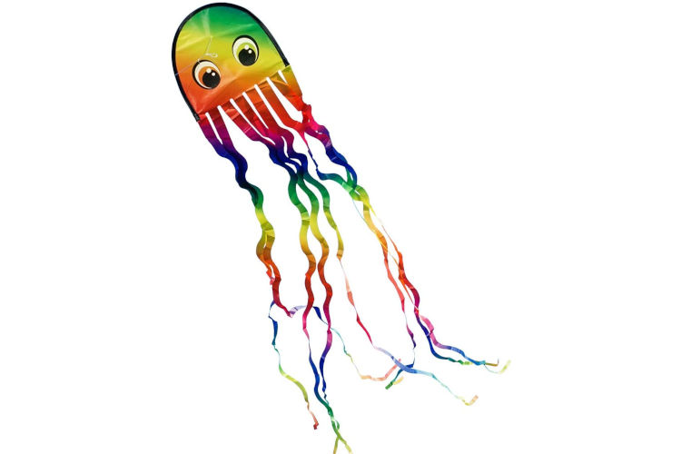 CIM Draki Rainbow