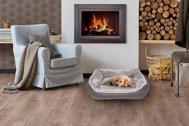 Cuccia per cani: guida all'acquisto