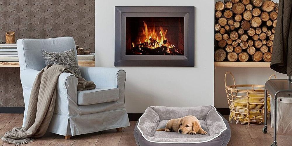 Come scegliere la cuccia per cani: guida all'acquisto