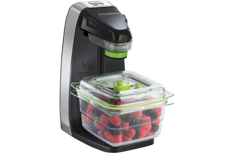 FoodSaver FFS010X