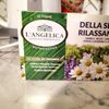 L’Angelica Della sera e rilassante