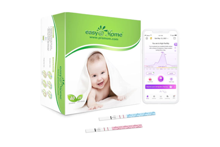 Easy@Home EZ-WS4010