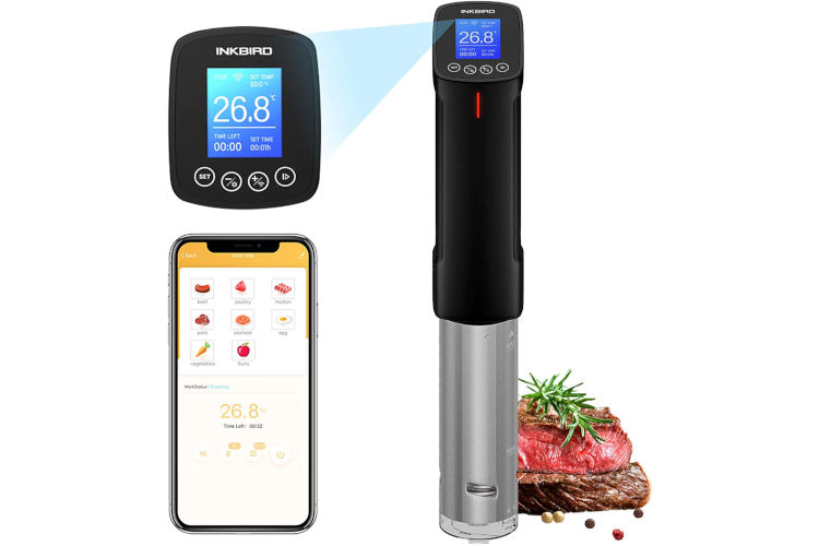 Inkbird ISV-100W