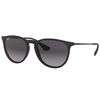 Ray-Ban Erika 4171