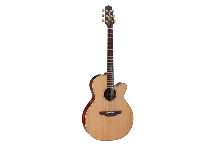 TAKAMINE TSF40C