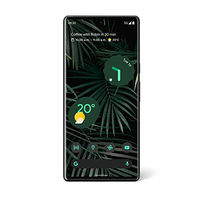Google Pixel 6 Pro