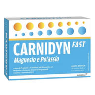 Carnidyn Fast