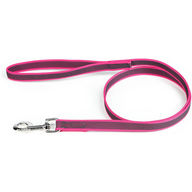 IDC Power Julius-K9 color & gray