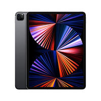 Apple iPad Pro 12,9" 5a gen (2021)