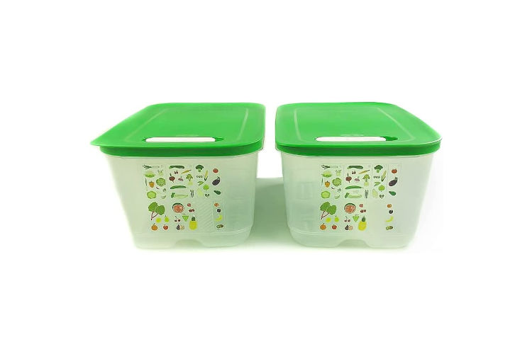 Tupperware Ventsmart A21