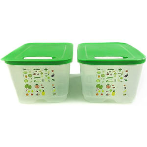 Tupperware Ventsmart A21