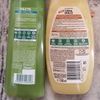 Garnier Fructis capelli normali