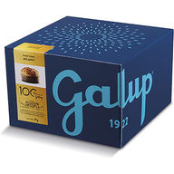 Galup Panettone Milano