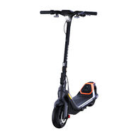 Ninebot by Segway KickScooter P65E